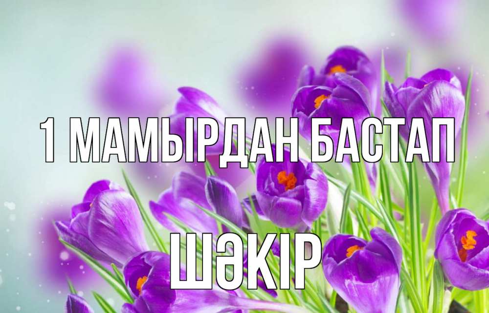 Күн сайын ашық хат с именем, ШӘКІР 1 мамырдан бастап 1 мая Онлайн тегін жүктеп алу тілектері бар керемет карта 