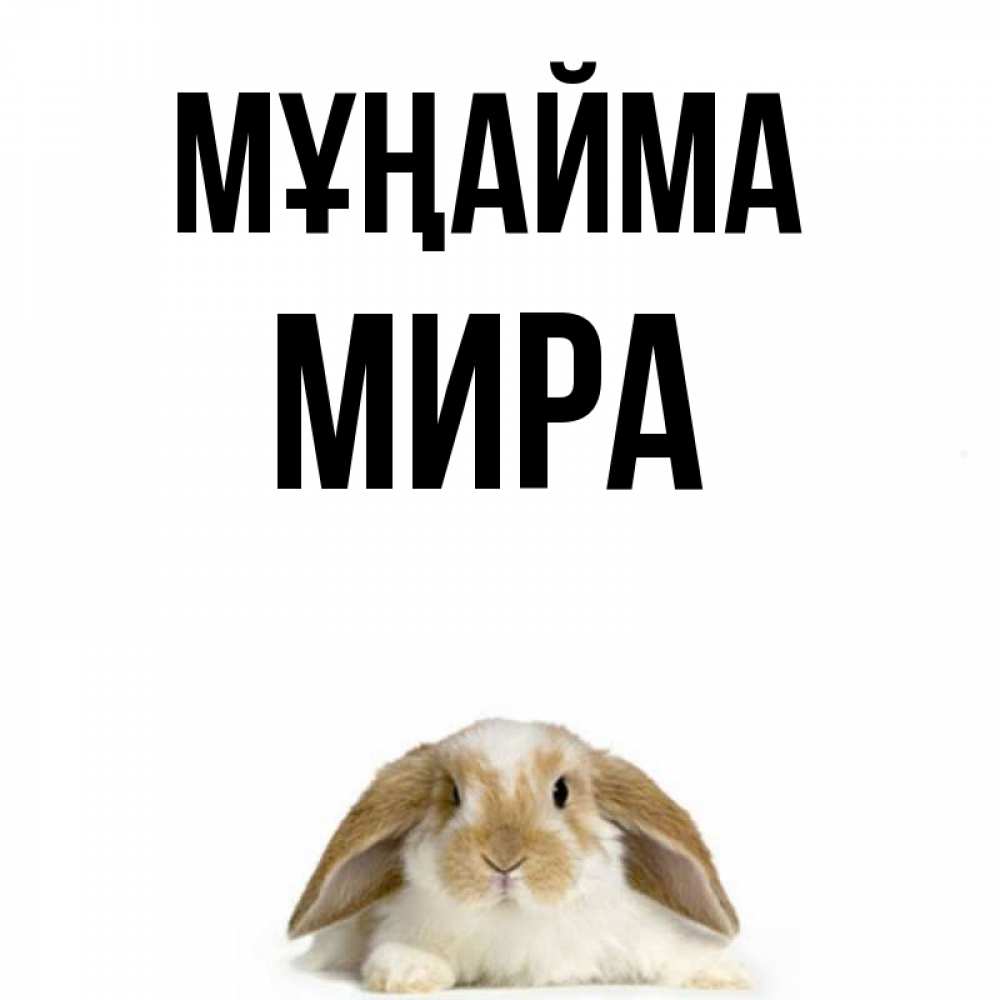 Күн сайын ашық хат с именем, МИРА Мұңайма коричнево белый заяц с большими ушками Онлайн тегін жүктеп алу тілектері бар керемет карта 