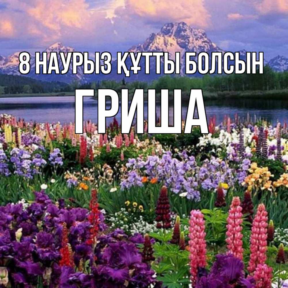 Күн сайын ашық хат с именем, Гриша 8 наурыз құтты болсын международный женский день Онлайн тегін жүктеп алу тілектері бар керемет карта 