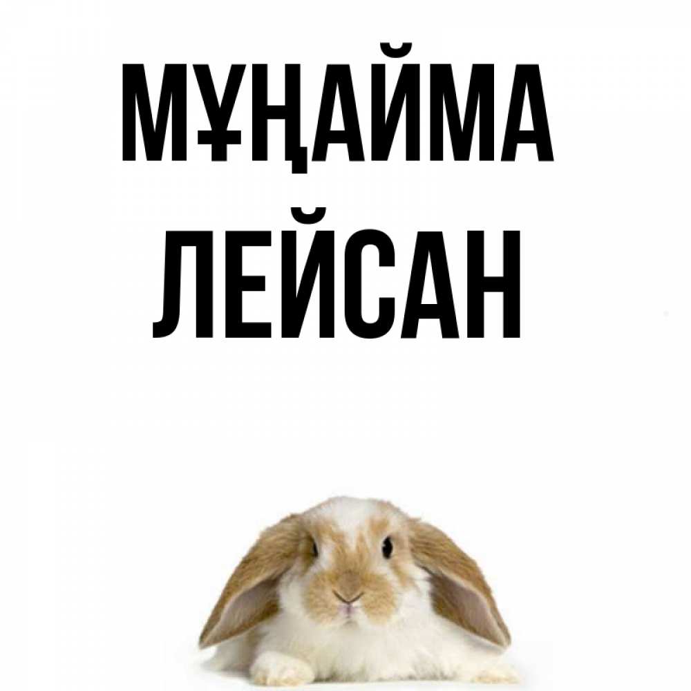 Күн сайын ашық хат с именем, Лейсан Мұңайма коричнево белый заяц с большими ушками Онлайн тегін жүктеп алу тілектері бар керемет карта 