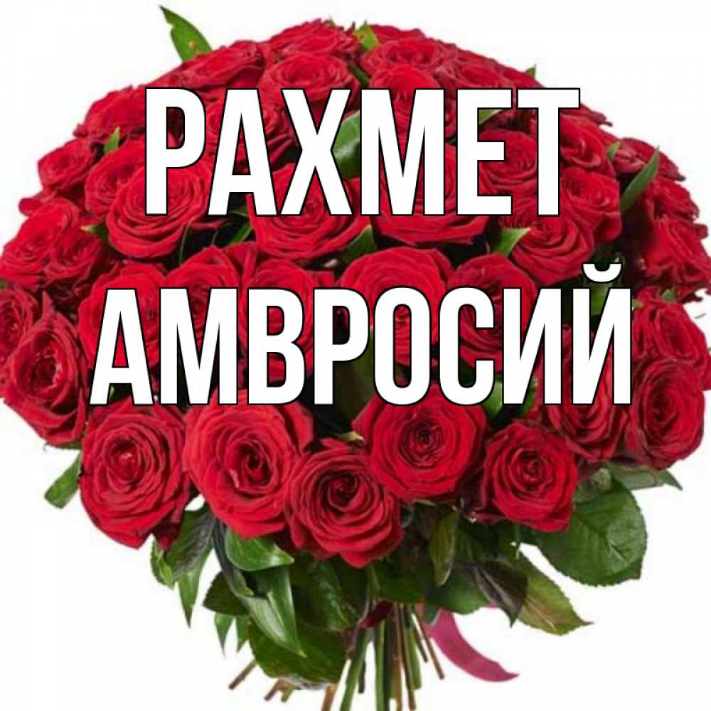 Күн сайын ашық хат с именем, Амвросий рахмет букет красных роз Онлайн тегін жүктеп алу тілектері бар керемет карта 