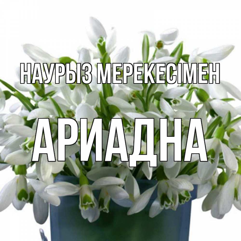 Күн сайын ашық хат с именем, Ариадна Наурыз мерекесімен цветы к наурызу новый год в Казахстане Онлайн тегін жүктеп алу тілектері бар керемет карта 