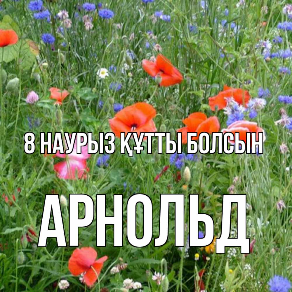 Күн сайын ашық хат с именем, Арнольд 8 наурыз құтты болсын международный женский день 4 Онлайн тегін жүктеп алу тілектері бар керемет карта 