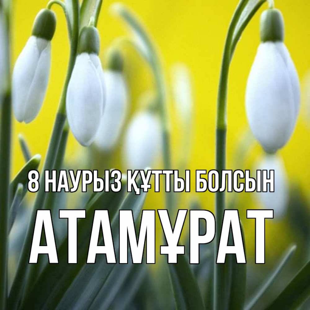 Күн сайын ашық хат с именем, Атамұрат 8 наурыз құтты болсын весенние цветы Онлайн тегін жүктеп алу тілектері бар керемет карта 