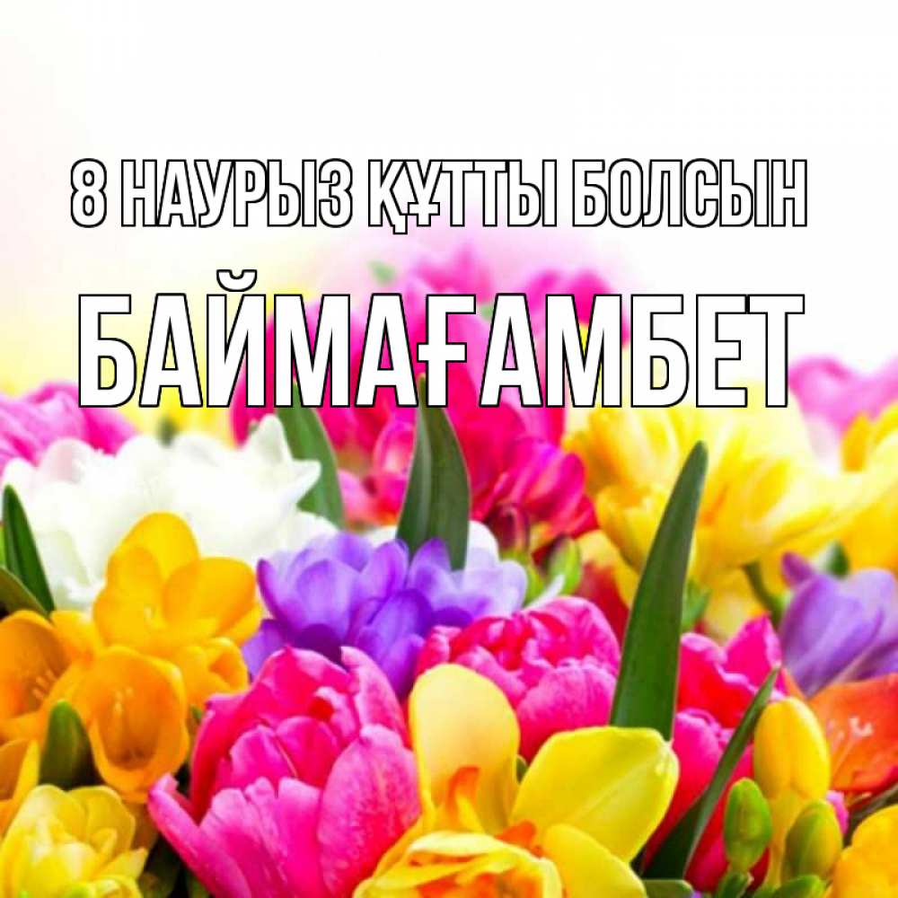 Күн сайын ашық хат с именем, Баймағамбет 8 наурыз құтты болсын тюльпаны Онлайн тегін жүктеп алу тілектері бар керемет карта 