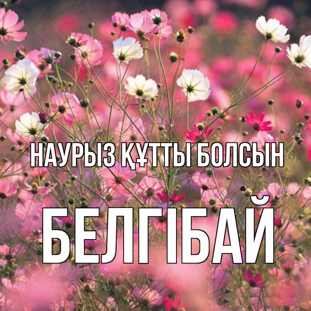 Күн сайын ашық хат с именем, Белгібай Наурыз құтты болсын красиво 1 Онлайн тегін жүктеп алу тілектері бар керемет карта 