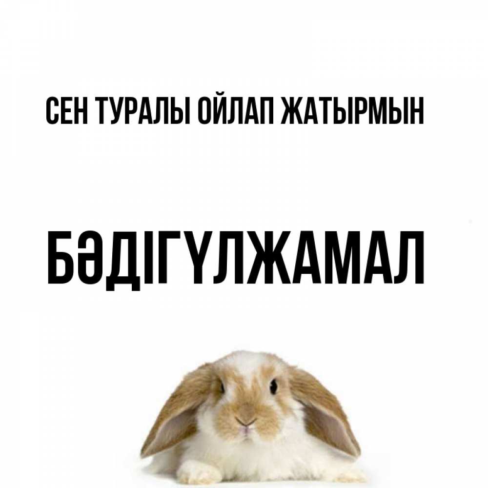 Күн сайын ашық хат с именем, БӘДІГҮЛЖАМАЛ Сен туралы ойлап жатырмын подписать своими руками онлайн Онлайн тегін жүктеп алу тілектері бар керемет карта 