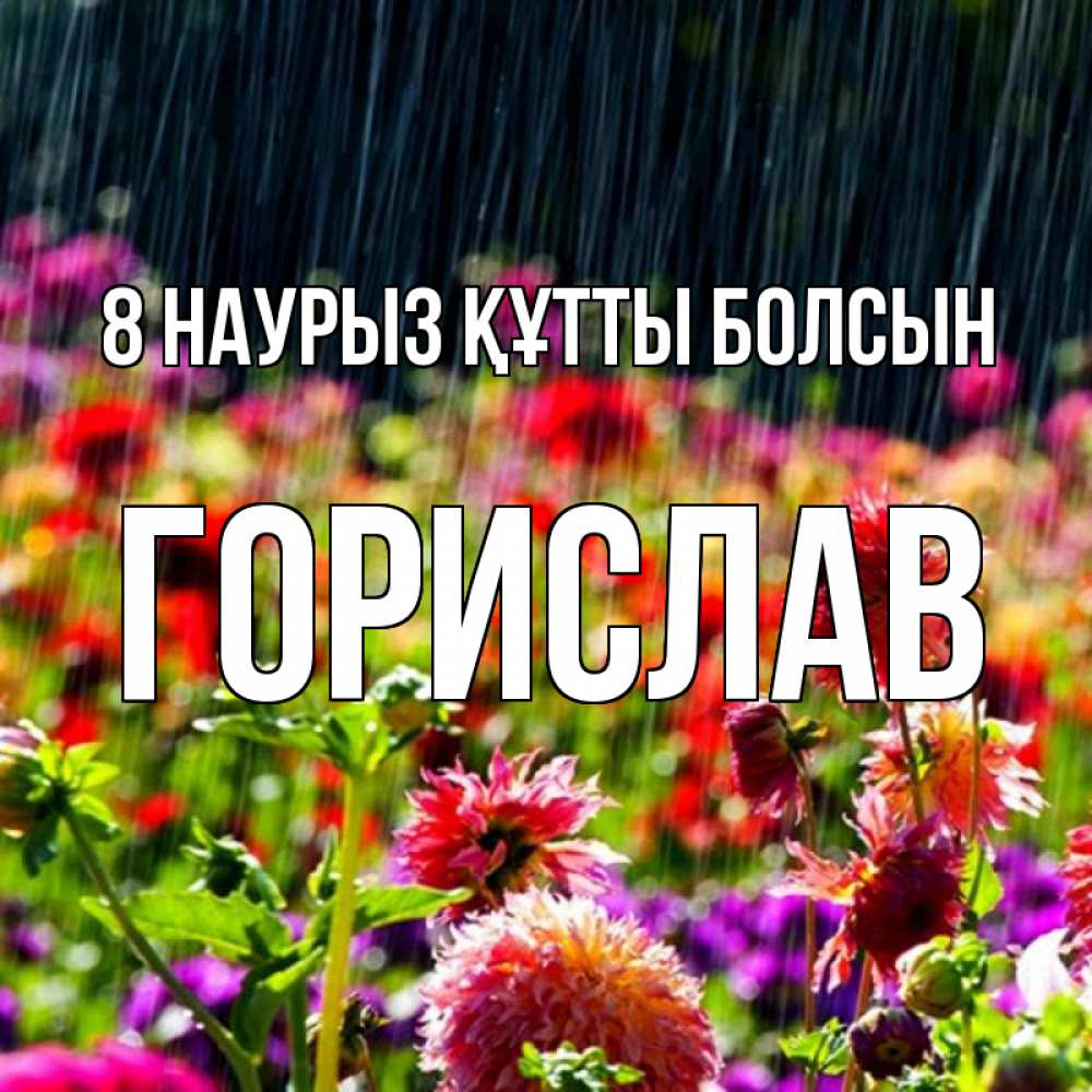 Күн сайын ашық хат с именем, Горислав 8 наурыз құтты болсын цветы под дождиком к международному женскому дню Онлайн тегін жүктеп алу тілектері бар керемет карта 