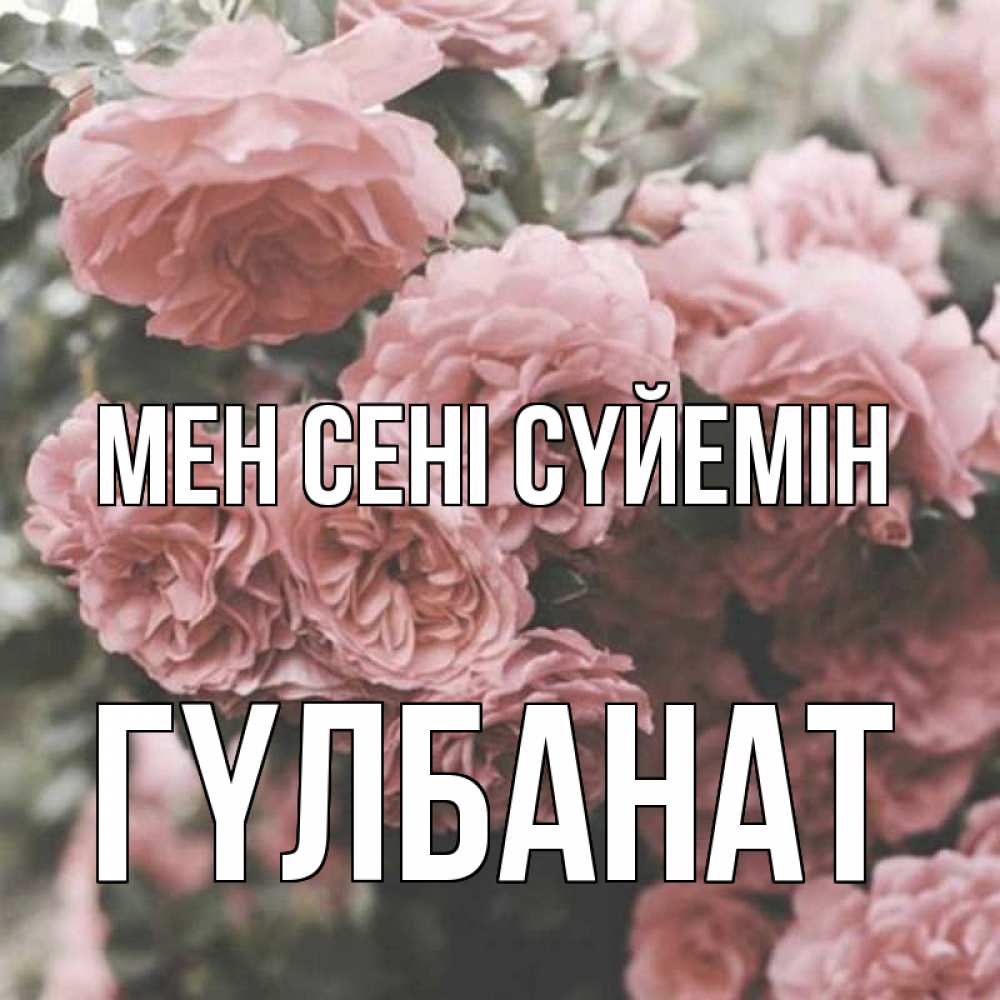 Күн сайын ашық хат с именем, ГҮЛБАНАТ Мен сені сүйемін розы 3 Онлайн тегін жүктеп алу тілектері бар керемет карта 