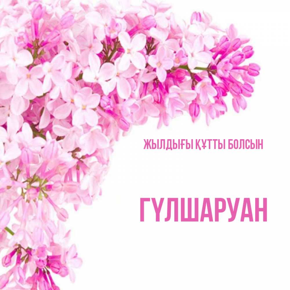 Күн сайын ашық хат с именем, ГҮЛШАРУАН Жылдығы құтты болсын Сирень на белом фоне Онлайн тегін жүктеп алу тілектері бар керемет карта 