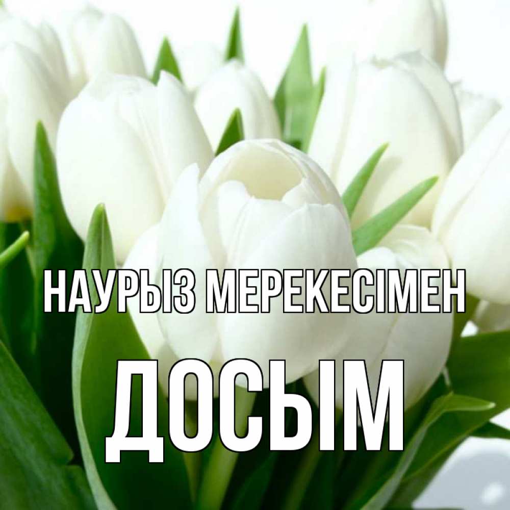 Күн сайын ашық хат с именем, Досым Наурыз мерекесімен цветы Онлайн тегін жүктеп алу тілектері бар керемет карта 
