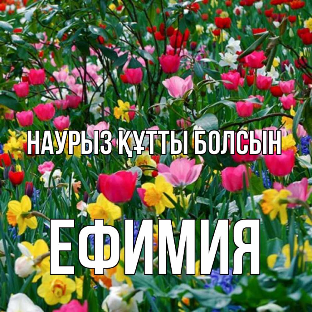 Күн сайын ашық хат с именем, Ефимия Наурыз құтты болсын с наурызом поздравления для женщины Онлайн тегін жүктеп алу тілектері бар керемет карта 