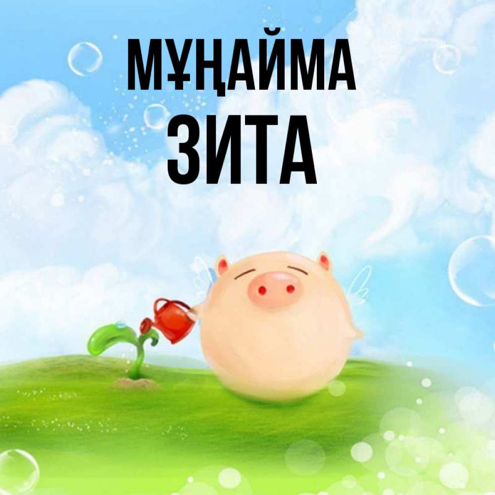 Күн сайын ашық хат с именем, Зита Мұңайма поливает цветок порося Онлайн тегін жүктеп алу тілектері бар керемет карта 