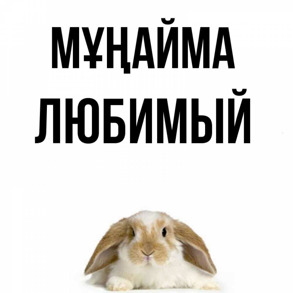 Күн сайын ашық хат с именем, Любимый Мұңайма коричнево белый заяц с большими ушками Онлайн тегін жүктеп алу тілектері бар керемет карта 