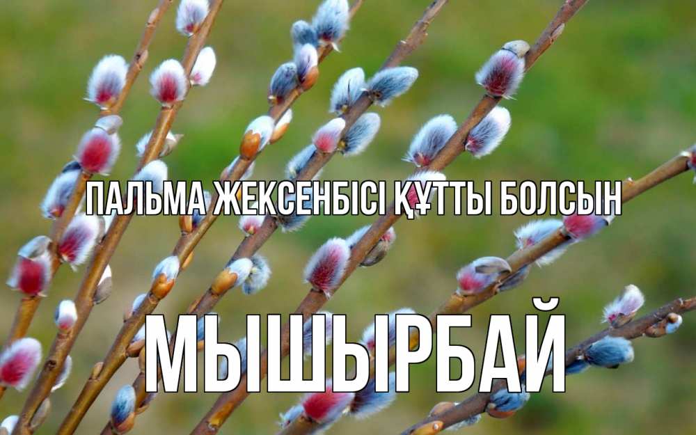 Күн сайын ашық хат с именем, МЫШЫРБАЙ Пальма жексенбісі құтты болсын верба Онлайн тегін жүктеп алу тілектері бар керемет карта 