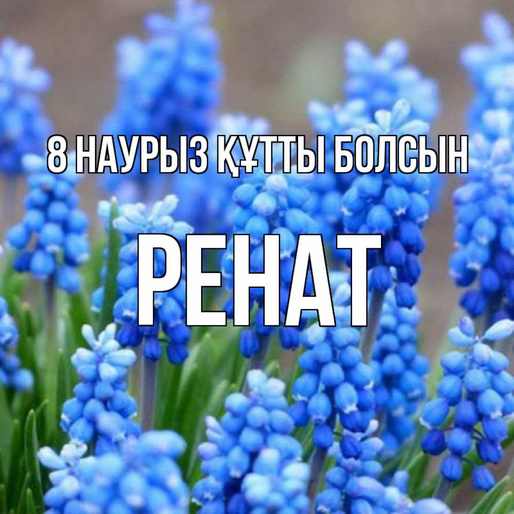 Күн сайын ашық хат с именем, РЕНАТ 8 наурыз құтты болсын Поздравительная открытка для женщин с цветами на праздничную дату Онлайн тегін жүктеп алу тілектері бар керемет карта 