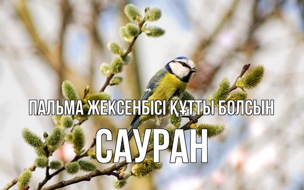 Күн сайын ашық хат с именем, САУРАН Пальма жексенбісі құтты болсын верба Онлайн тегін жүктеп алу тілектері бар керемет карта 
