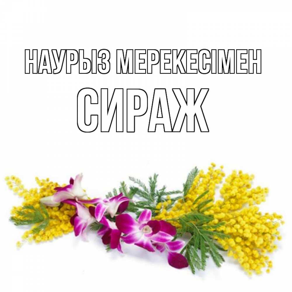 Күн сайын ашық хат с именем, СИРАЖ Наурыз мерекесімен открытка на международный женский день с цветами  1 Онлайн тегін жүктеп алу тілектері бар керемет карта 