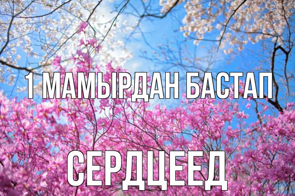 Күн сайын ашық хат с именем, Сердцеед 1 мамырдан бастап С 1 мая Онлайн тегін жүктеп алу тілектері бар керемет карта 