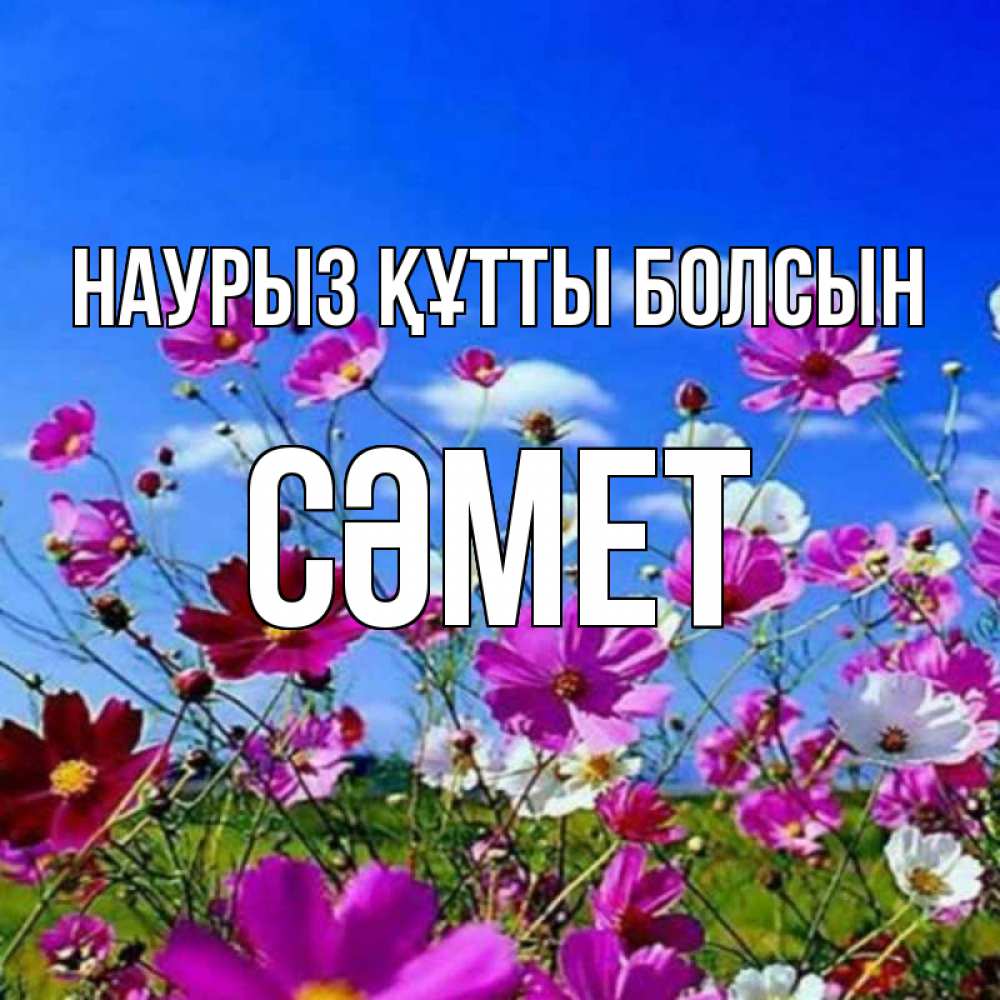 Күн сайын ашық хат с именем, СӘМЕТ Наурыз құтты болсын цветы Онлайн тегін жүктеп алу тілектері бар керемет карта 