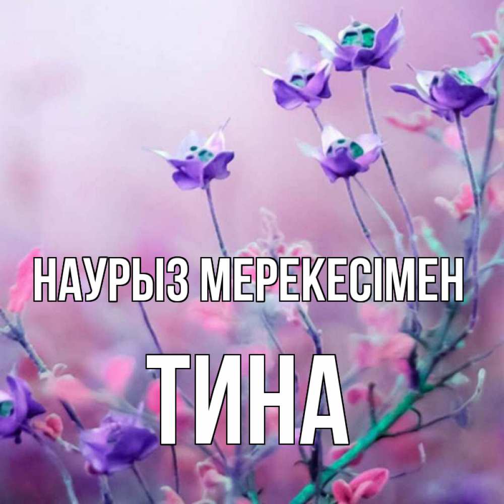 Күн сайын ашық хат с именем, Тина Наурыз мерекесімен международный женский день 2 Онлайн тегін жүктеп алу тілектері бар керемет карта 
