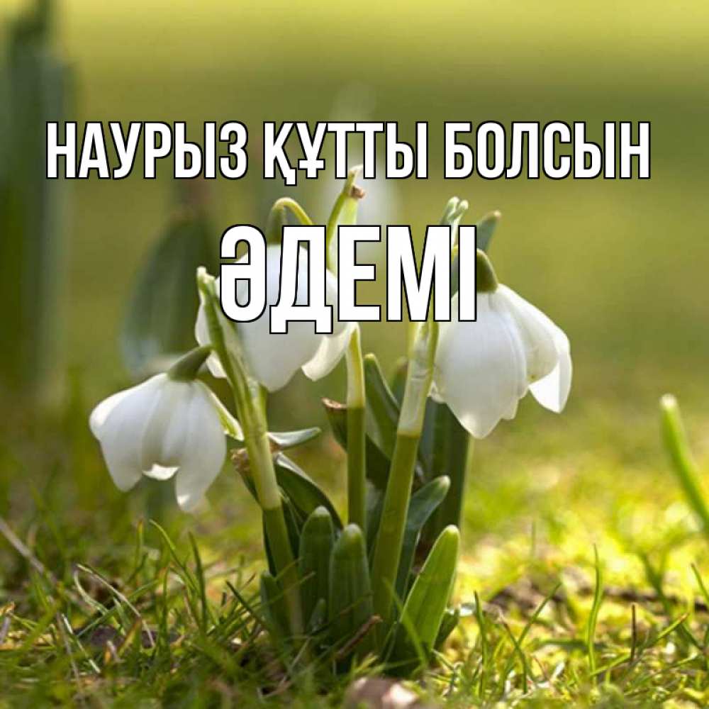 Күн сайын ашық хат с именем, ӘДЕМІ Наурыз құтты болсын ранние цветы 2 Онлайн тегін жүктеп алу тілектері бар керемет карта 