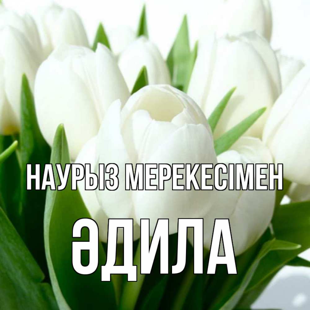 Күн сайын ашық хат с именем, ӘДИЛА Наурыз мерекесімен цветы Онлайн тегін жүктеп алу тілектері бар керемет карта 