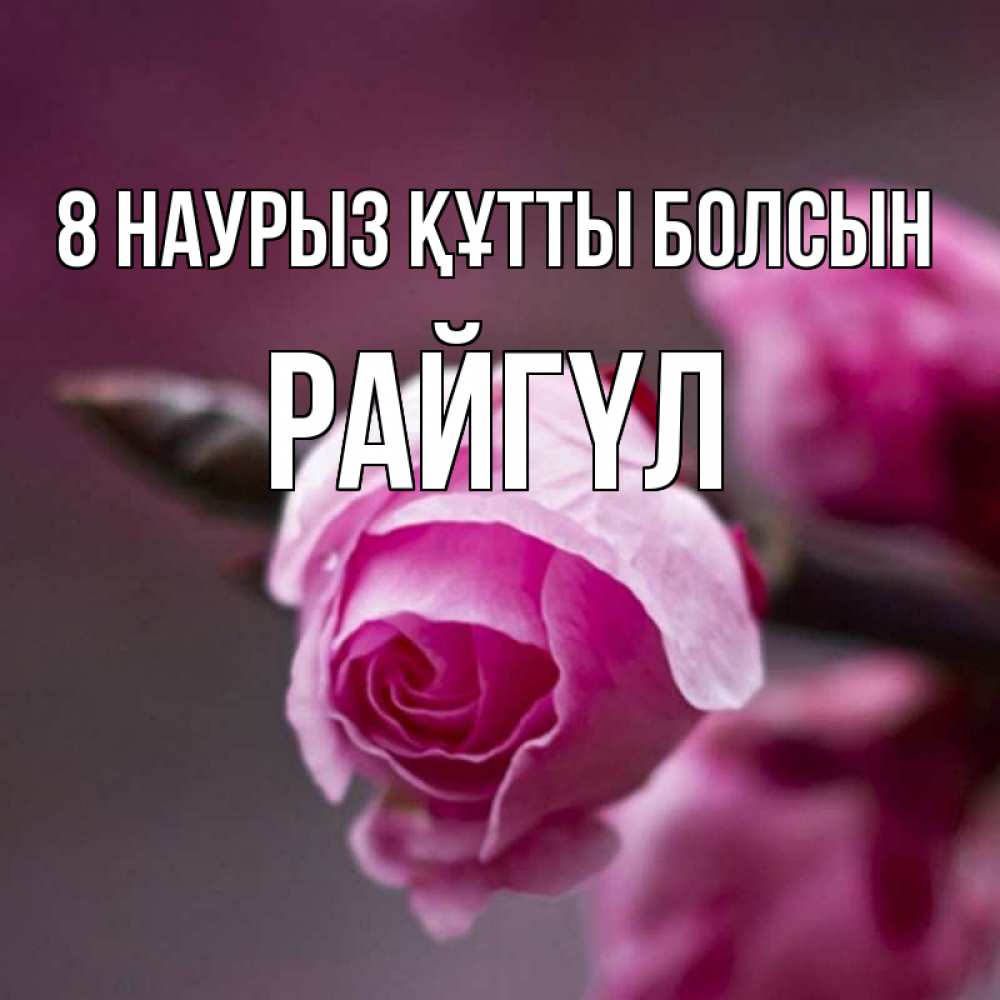 Күн сайын ашық хат с именем, РАЙГҮЛ 8 наурыз құтты болсын весна Онлайн тегін жүктеп алу тілектері бар керемет карта 