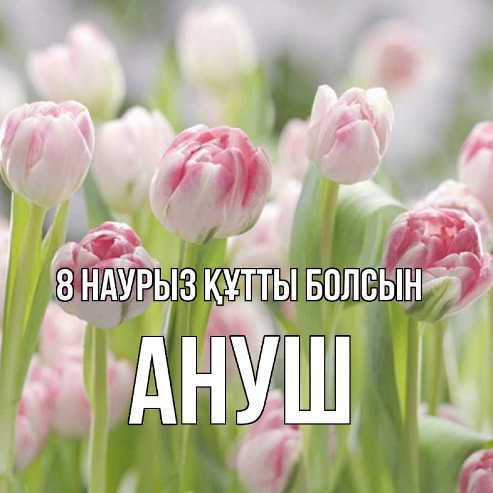 Күн сайын ашық хат с именем, Ануш 8 наурыз құтты болсын цветы Онлайн тегін жүктеп алу тілектері бар керемет карта 