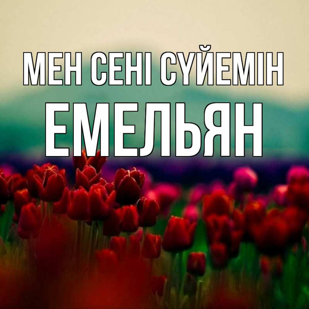 Күн сайын ашық хат с именем, Емельян Мен сені сүйемін тюльпаны 4 Онлайн тегін жүктеп алу тілектері бар керемет карта 