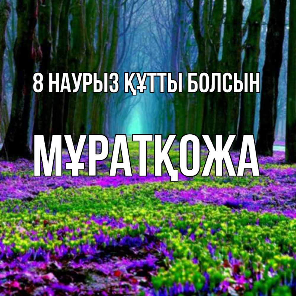 Күн сайын ашық хат с именем, Мұратқожа 8 наурыз құтты болсын фиолетовые цветы в лесу 1 Онлайн тегін жүктеп алу тілектері бар керемет карта 