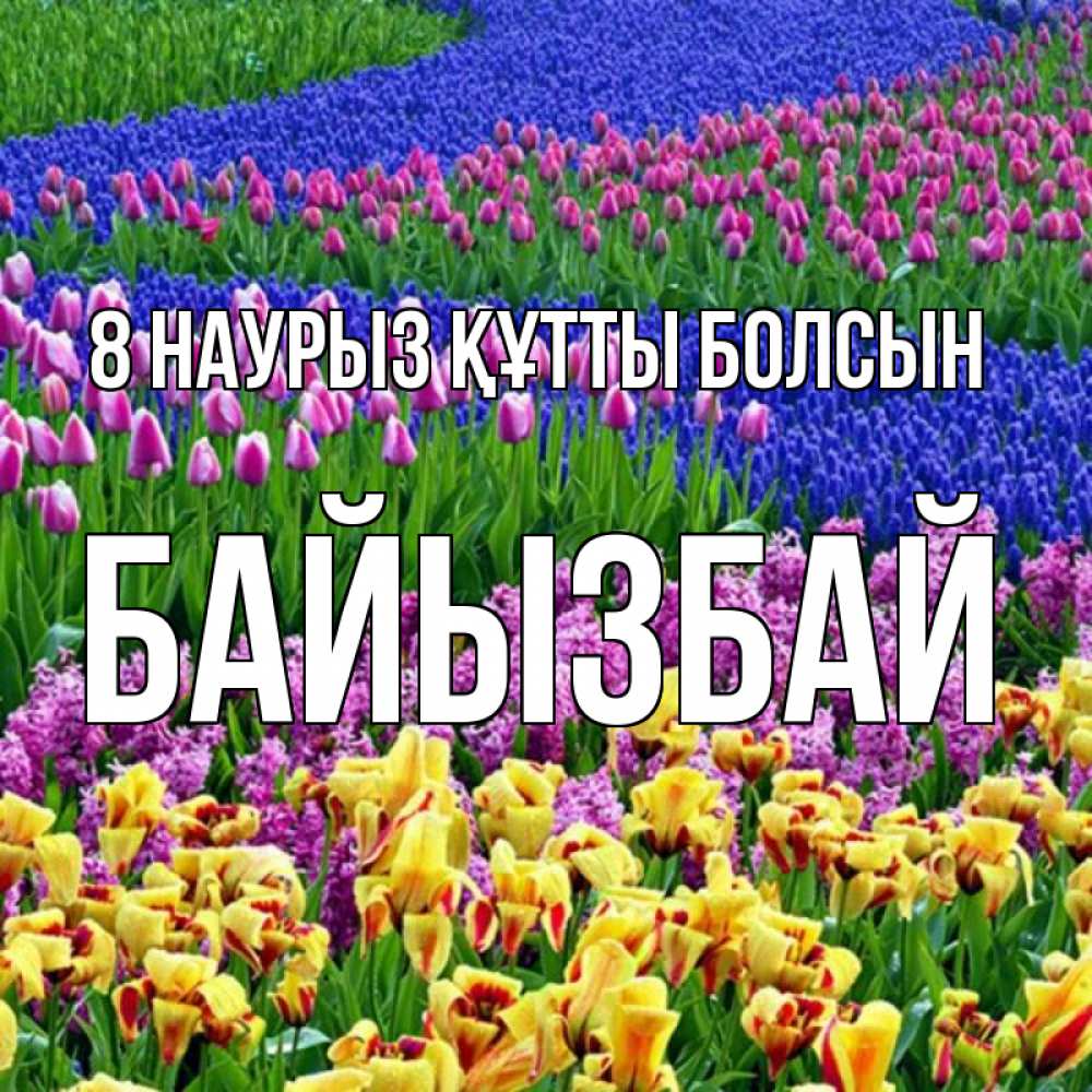 Күн сайын ашық хат с именем, Байызбай 8 наурыз құтты болсын цветы Онлайн тегін жүктеп алу тілектері бар керемет карта 