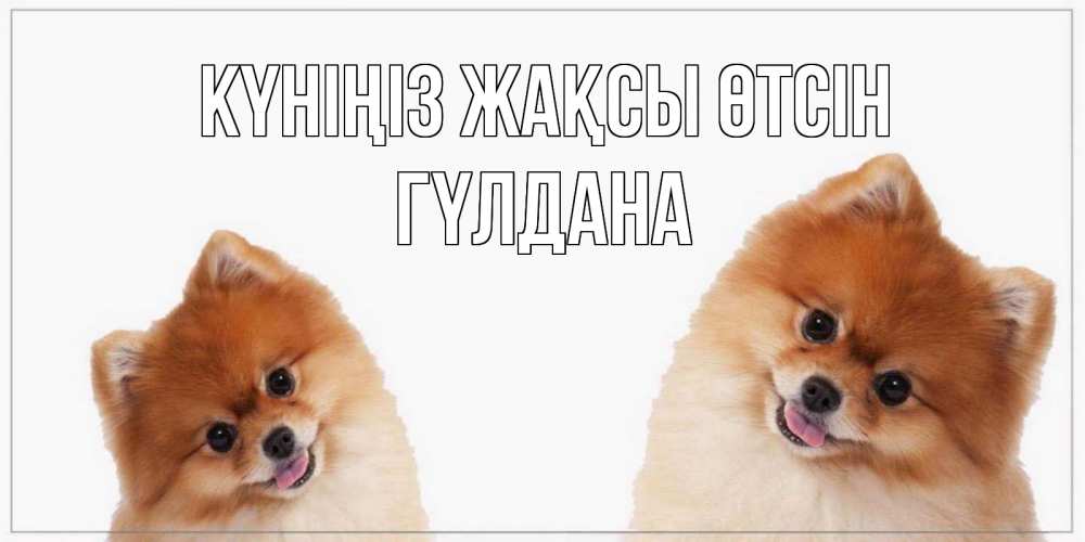 Күн сайын ашық хат с именем, ГҮЛДАНА Күніңіз жақсы өтсін собачки желают прекрасного дня Онлайн тегін жүктеп алу тілектері бар керемет карта 