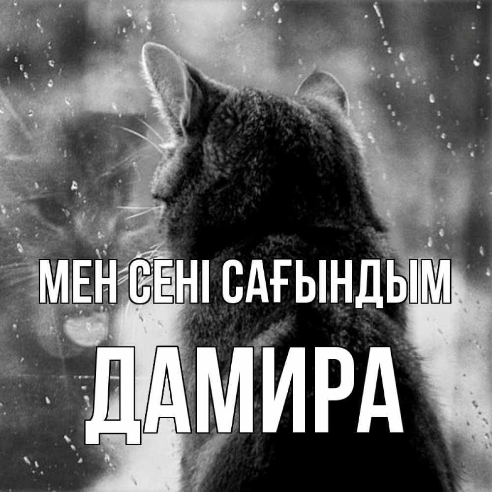 Күн сайын ашық хат с именем, ДАМИРА Мен сені сағындым скорее ко мне приходи 1 Онлайн тегін жүктеп алу тілектері бар керемет карта 