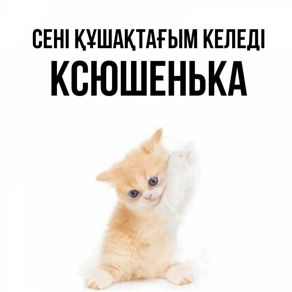 Күн сайын ашық хат с именем, Ксюшенька сені құшақтағым келеді я хочу очень скорее обнимаешек Онлайн тегін жүктеп алу тілектері бар керемет карта 