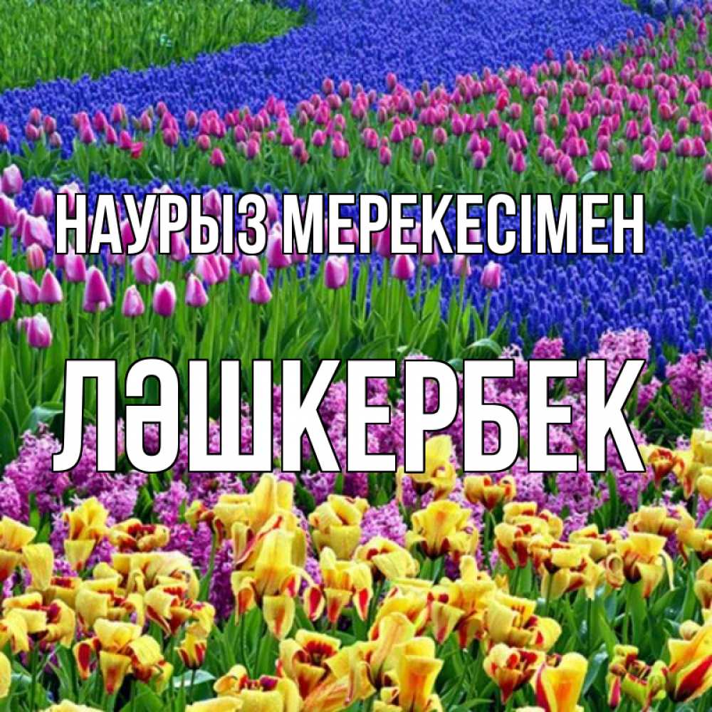 Күн сайын ашық хат с именем, ЛӘШКЕРБЕК Наурыз мерекесімен цветы Онлайн тегін жүктеп алу тілектері бар керемет карта 