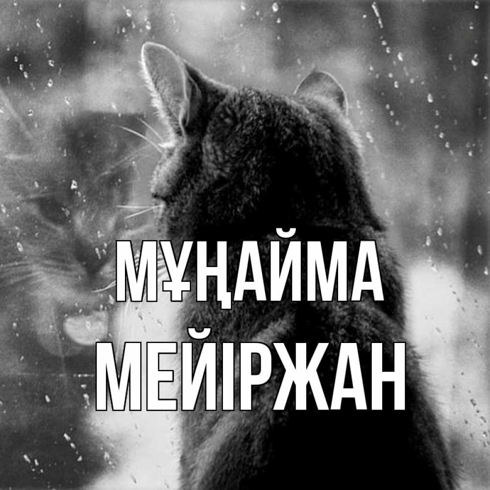 Күн сайын ашық хат с именем, МЕЙІРЖАН Мұңайма отражение кота 1 Онлайн тегін жүктеп алу тілектері бар керемет карта 