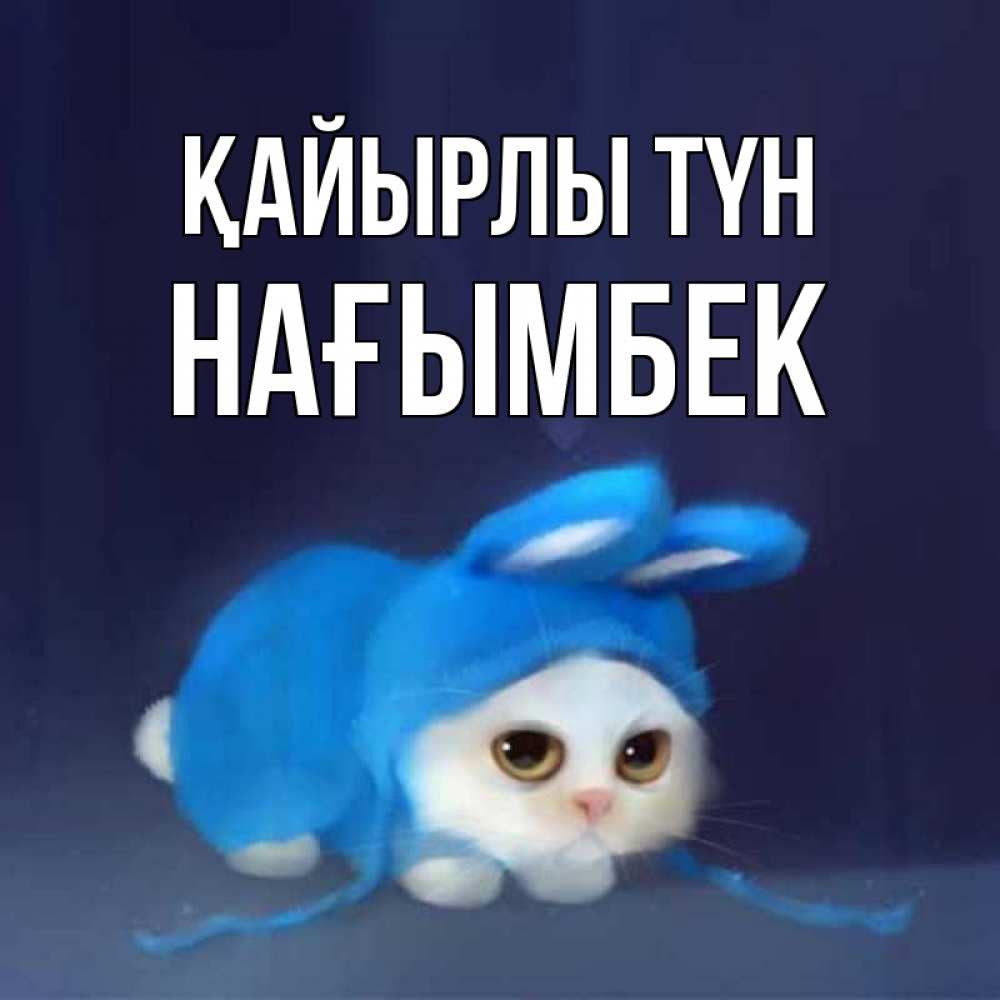 Күн сайын ашық хат с именем, НАҒЫМБЕК Қайырлы түн кот в голубом костюме кролика с ушками Онлайн тегін жүктеп алу тілектері бар керемет карта 