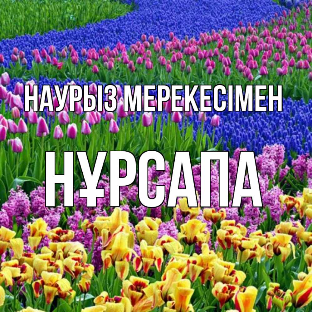 Күн сайын ашық хат с именем, НҰРСАПА Наурыз мерекесімен цветы Онлайн тегін жүктеп алу тілектері бар керемет карта 
