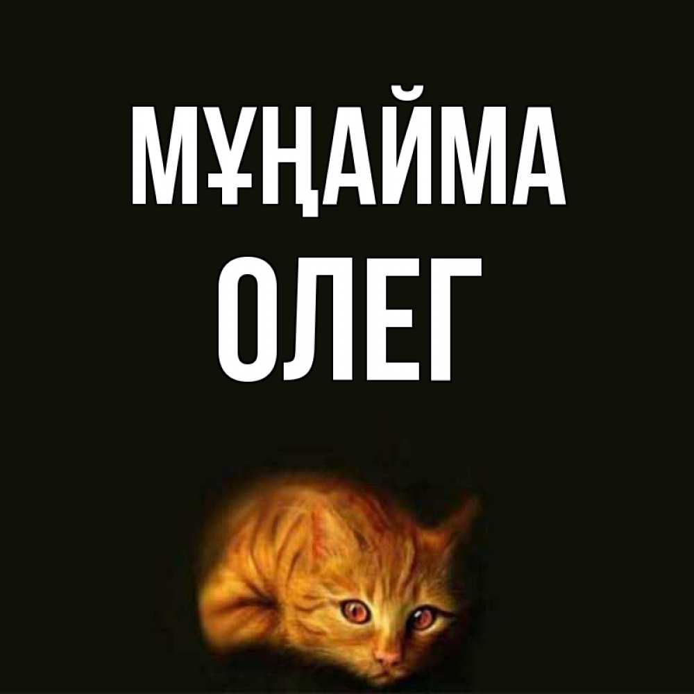 Күн сайын ашық хат с именем, Олег Мұңайма лежащий кот в темноте Онлайн тегін жүктеп алу тілектері бар керемет карта 
