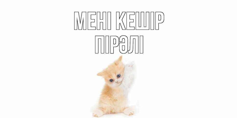 Күн сайын ашық хат с именем, ПІРӘЛІ Мені кешір кот Онлайн тегін жүктеп алу тілектері бар керемет карта 