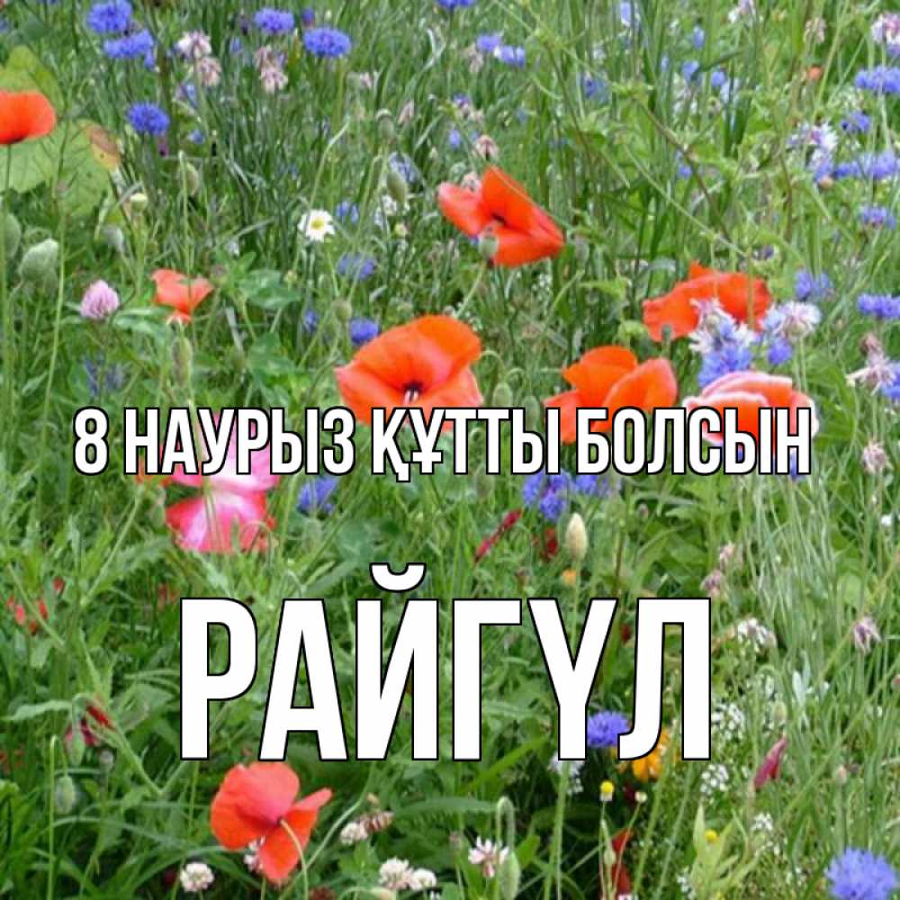 Күн сайын ашық хат с именем, РАЙГҮЛ 8 наурыз құтты болсын международный женский день 4 Онлайн тегін жүктеп алу тілектері бар керемет карта 