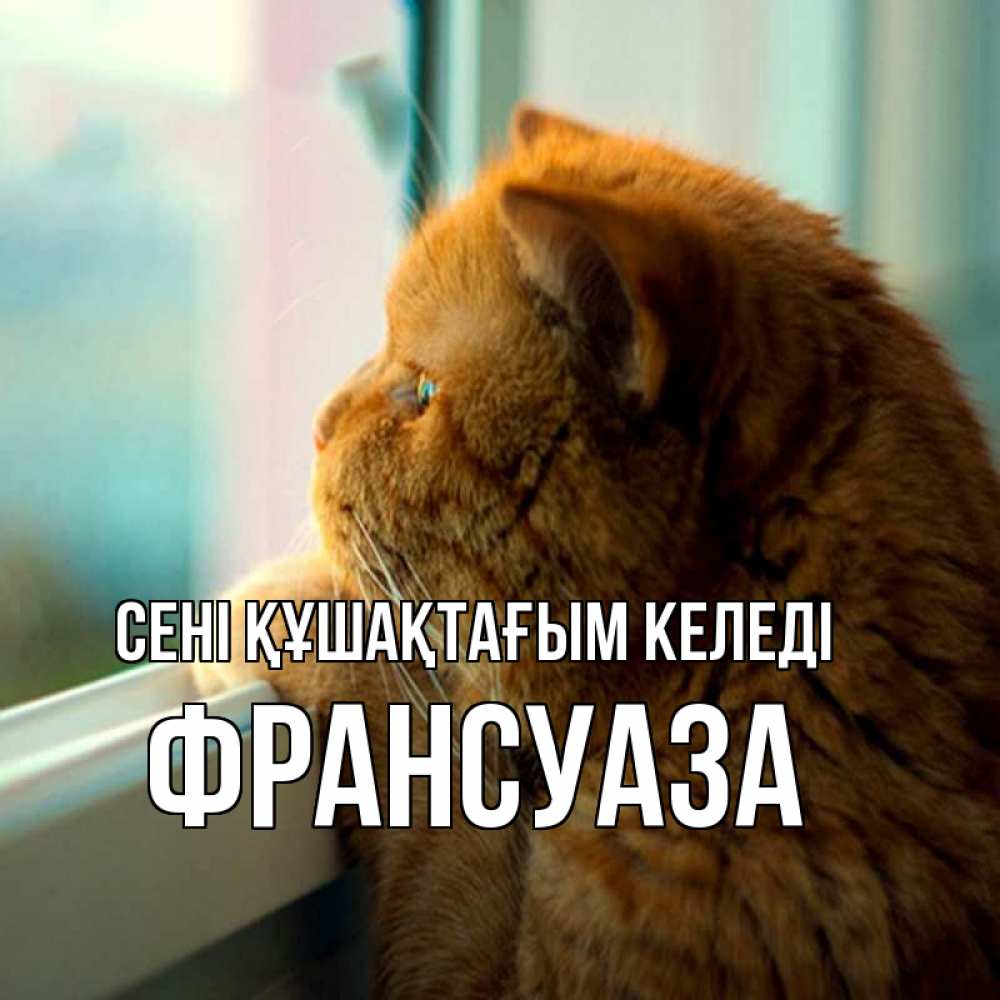 Күн сайын ашық хат с именем, Франсуаза сені құшақтағым келеді большой огромный рыжий котяра Онлайн тегін жүктеп алу тілектері бар керемет карта 
