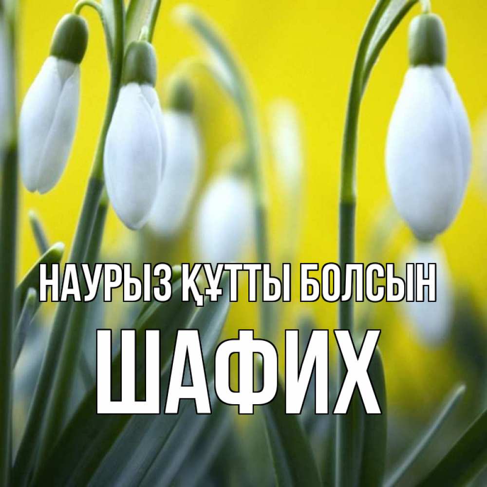 Күн сайын ашық хат с именем, ШАФИХ Наурыз құтты болсын весенние цветы Онлайн тегін жүктеп алу тілектері бар керемет карта 