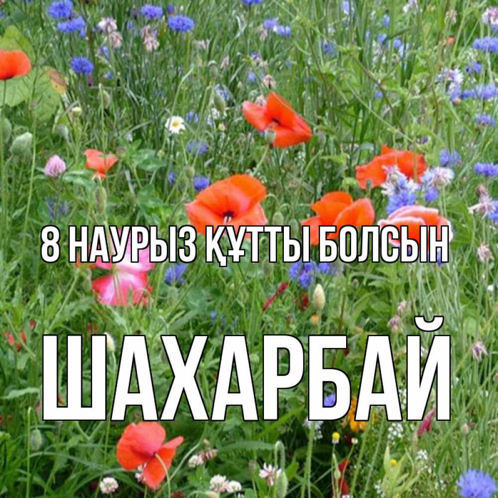 Күн сайын ашық хат с именем, ШАХАРБАЙ 8 наурыз құтты болсын международный женский день 4 Онлайн тегін жүктеп алу тілектері бар керемет карта 