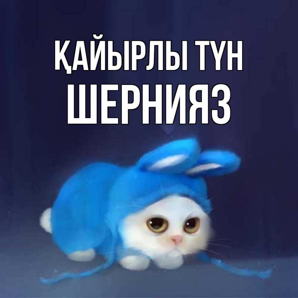 Күн сайын ашық хат с именем, ШЕРНИЯЗ Қайырлы түн кот в голубом костюме кролика с ушками Онлайн тегін жүктеп алу тілектері бар керемет карта 