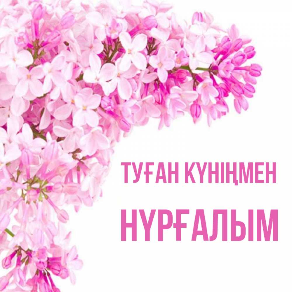 Күн сайын ашық хат с именем, НҮРҒАЛЫМ Туған күніңмен Сирень на белом фоне Онлайн тегін жүктеп алу тілектері бар керемет карта 