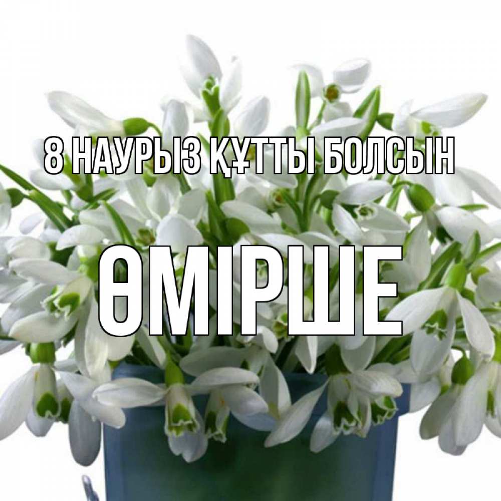 Күн сайын ашық хат с именем, ӨМІРШЕ 8 наурыз құтты болсын цветы к международному женскому дню Онлайн тегін жүктеп алу тілектері бар керемет карта 