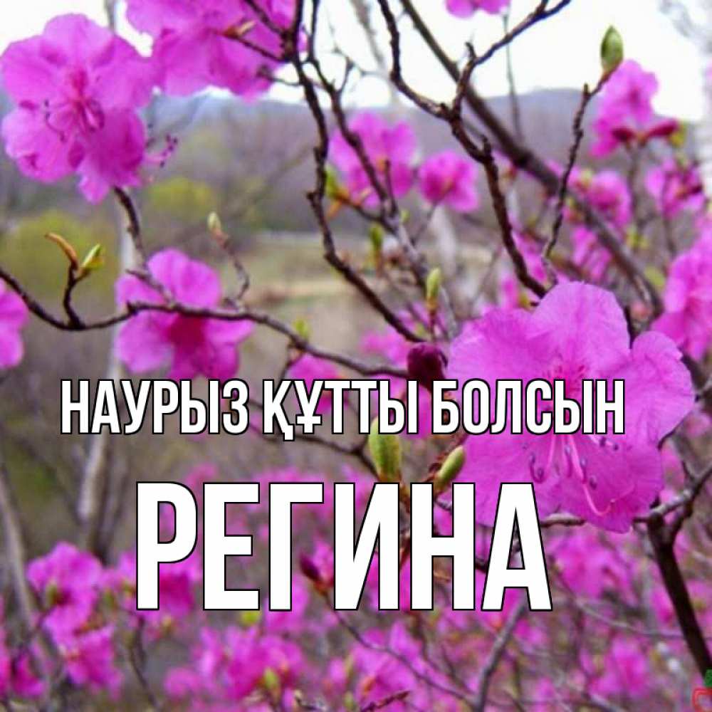 Күн сайын ашық хат с именем, Регина Наурыз құтты болсын наурыз мейрамы кутты болсын Онлайн тегін жүктеп алу тілектері бар керемет карта 