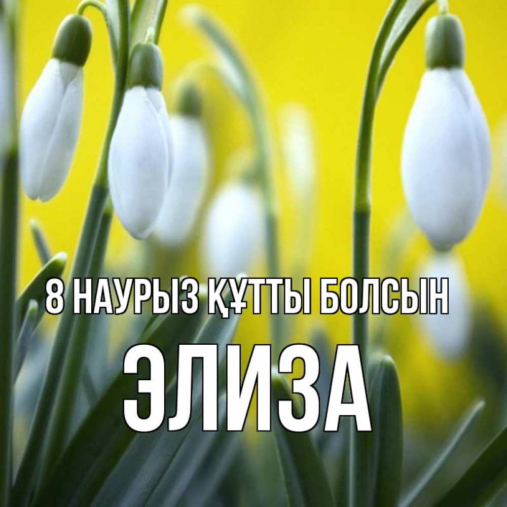 Күн сайын ашық хат с именем, Элиза 8 наурыз құтты болсын весенние цветы Онлайн тегін жүктеп алу тілектері бар керемет карта 